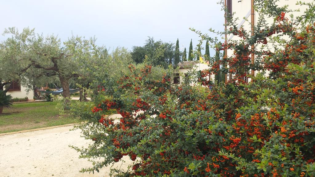 Agrisicilia Guest House Marinella di Selinunte Luaran gambar